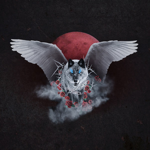 李毅动态第400期插曲
